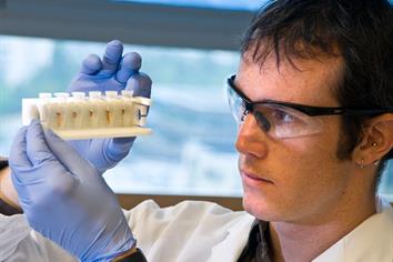 Scientist examines test tubes