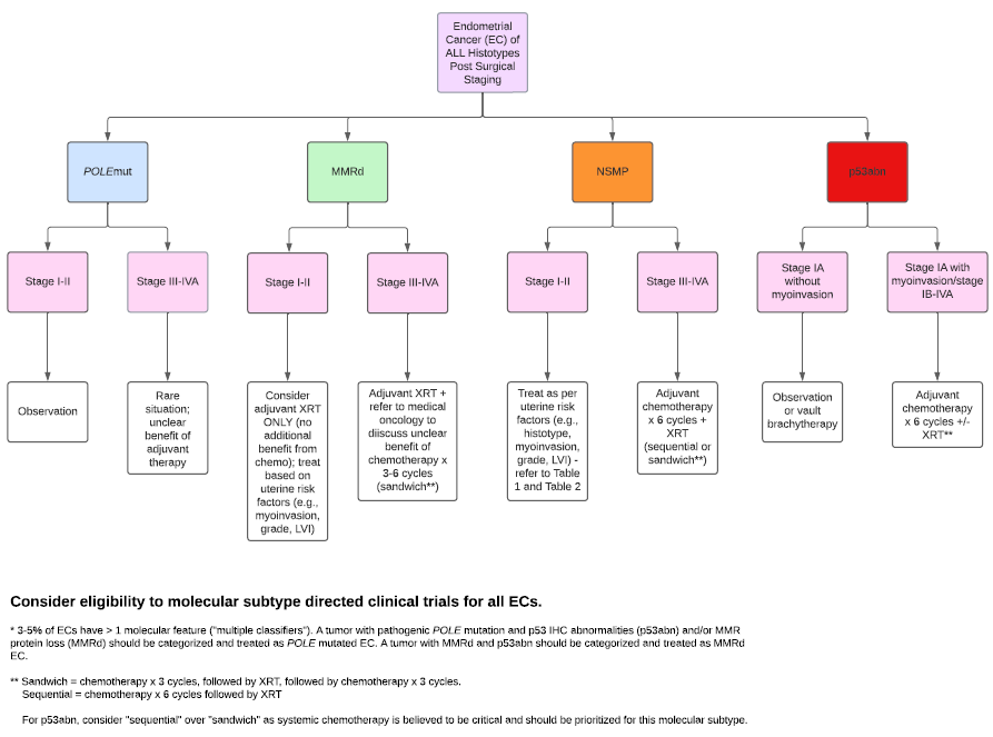 Molecular directed adjuvant therapy algorithm for endometrium