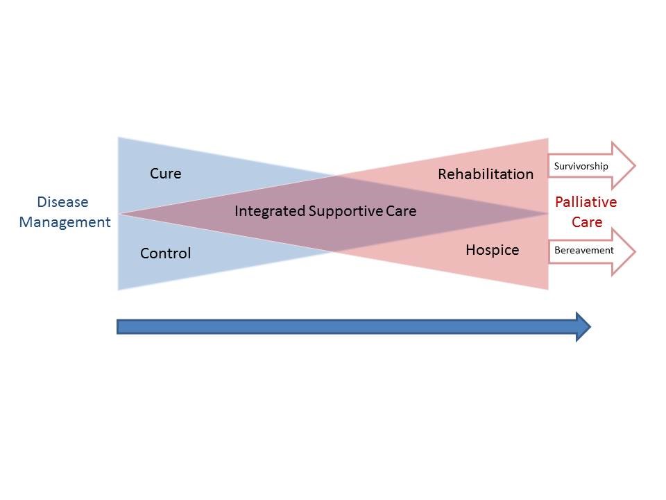 Bowtie Model of Palliative Care