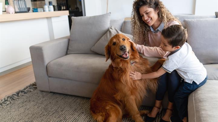 Happy mother and son at home petting their dog and smiling