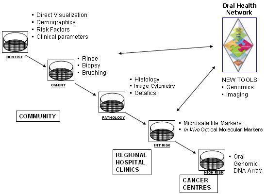 Community: Dentist - direct visulaization, demographics, risk factors, clinical parameters; OMENT - rinse, biopsy, brushing. Regional Hospital Clinics: Pathology - histology, image cytometry, getafics; Int Risk - microsatellite markers, In Vivo optical molecular markers. Cancer Centres: High risk - oral, genomic, DNA array. Int Risk and OMENT: New Tools - Genomics, Imaging.