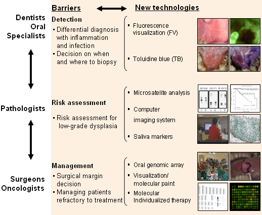 Dentists & Oral Specialists: Barriers - Detection, Differential diagnosis with inflammation and infection, Decision on when and where to biopsy; New technologies - Fluorescence visualization, Toluidine blue. Pathologists: Barriers - Risk assessment for low-grade dysplasia; New technologies - Microsatellite analysis, Computer imaging system, Saliva markers. Surgeons & Oncologists: Barriers - Management, surgical margin decision, managing patients refractory to treatment; New technologies - oral genomic array, visualization/molecular paint, molecular individualized therapy.