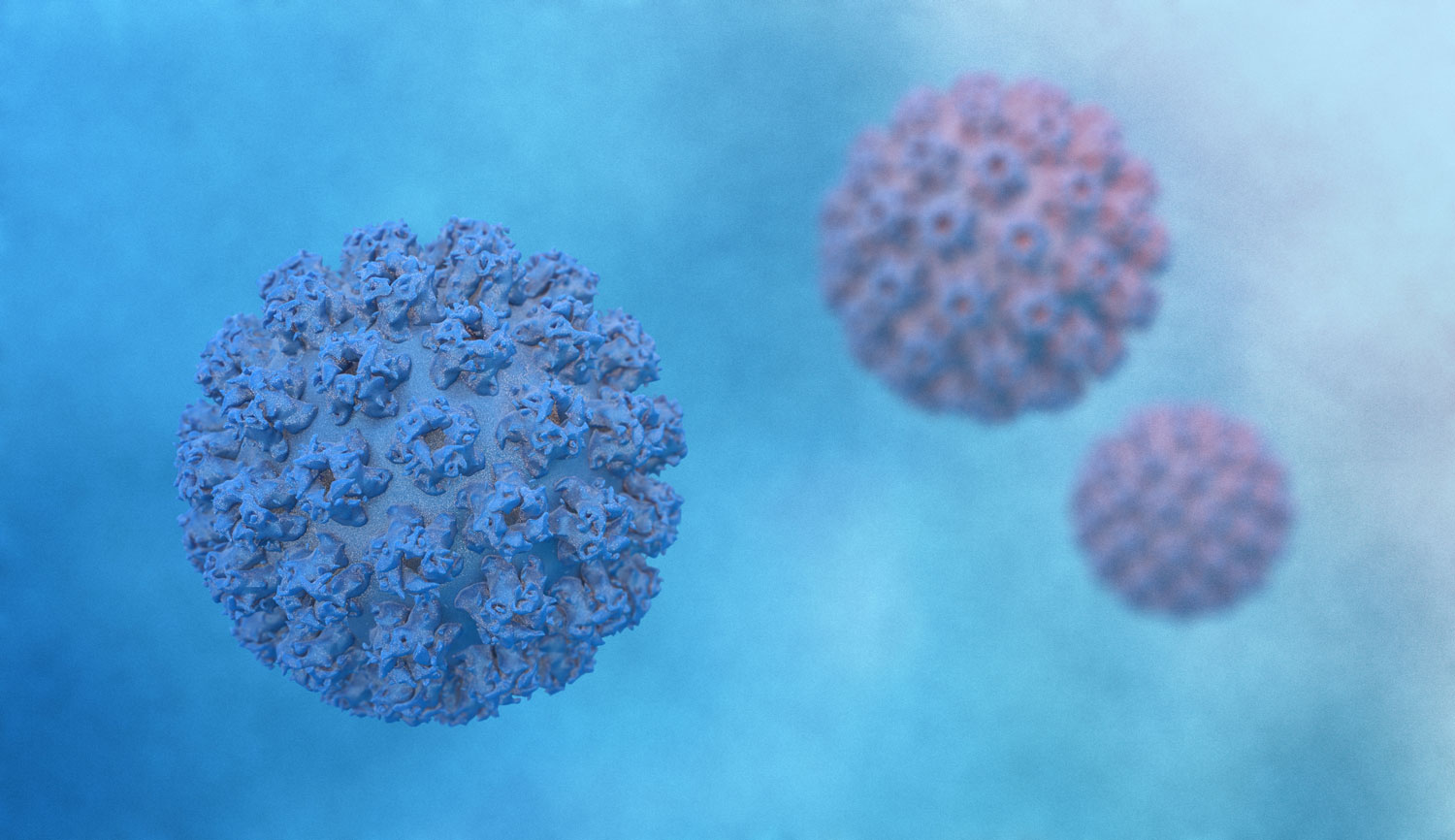 Close up of HPV
