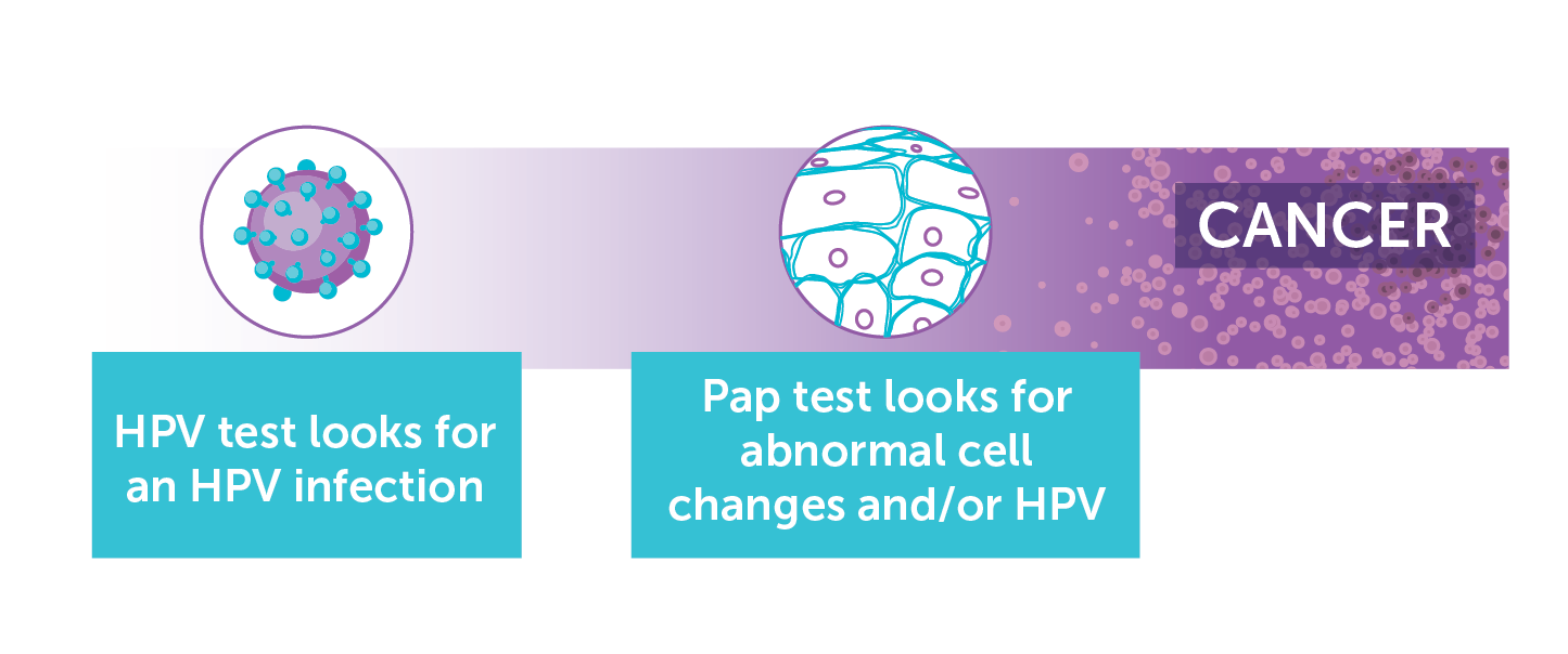 How-Cervical-Cancer-Develops_WhiteBG.png