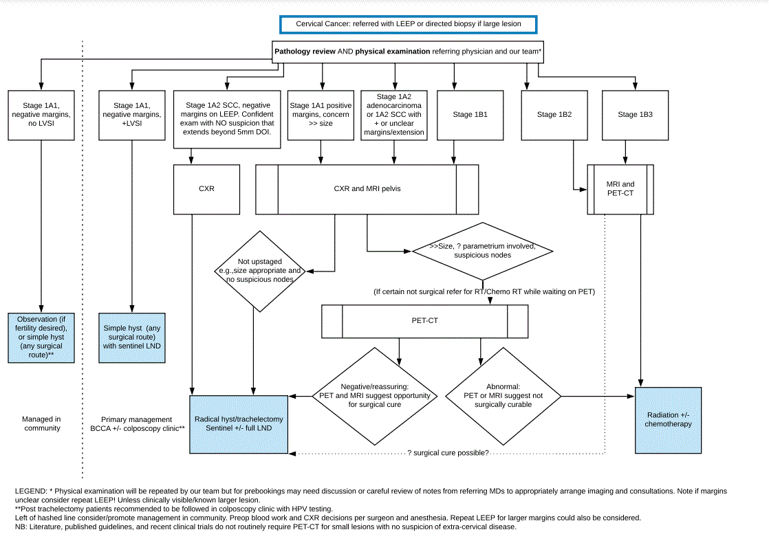 Cervical cancer management algorithm - click for PDF