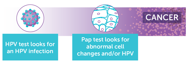 How-Cervical-Cancer-Develops_WhiteBG.png